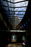 The Library